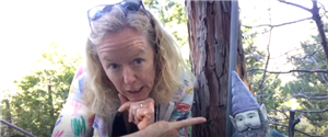 Ms. O'Meara Ms. O'Meara